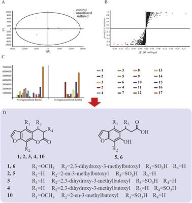 Practical Protocol for Comprehensively Evaluating Sulfur-Fumigation of Baizhi Based on Metabolomics, Pharmacology, and Cytotoxicity